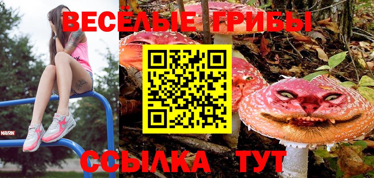 Отрадное  Галлюциногенные грибы мухоморы  Вход с VPN  Галлюциногенные грибы MAGIC MUSHROOMS 
