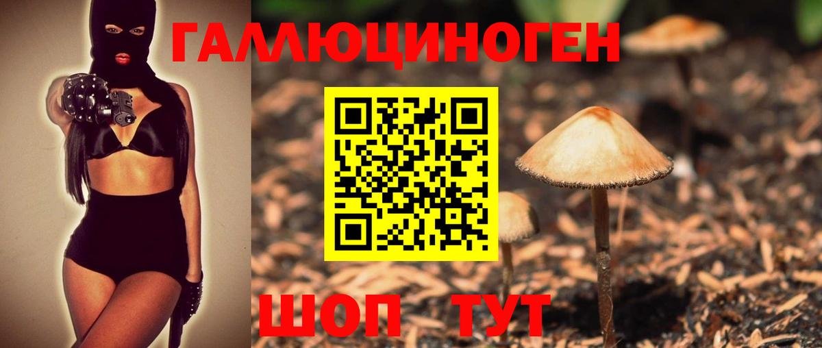 Псилоцибиновые грибы Psilocybine cubensis Отрадное